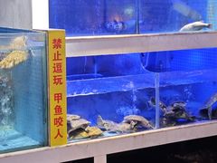 -王捌小院(红花坡店)
