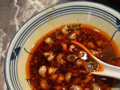 -禄婶鸡煲·打边炉