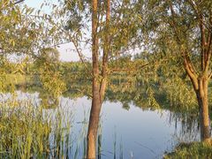 -东郊湿地公园