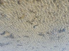 android_upload_pic-新江湾城公园