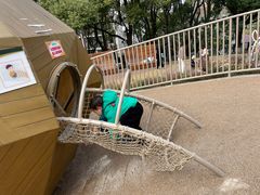 -宁波儿童公园(鄞州区)