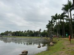 -海上田园