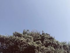 -灌篮高手动画打卡地