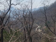 -泰山风景名胜区