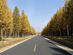 -塞罕坝国家级自然保护区