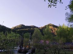 -仙居谷风景区