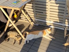 -前叁門
