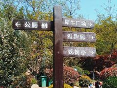-北岭山森林公园
