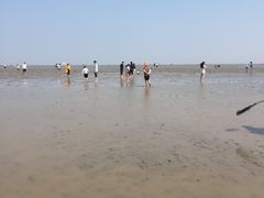 -南汇嘴观海公园