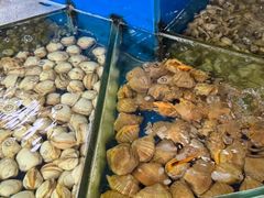 -张树军海鲜(王府壹号店)