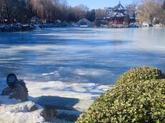 -莲池书院博物馆