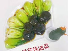 -爱月宝月嫂·育儿嫂(哈尔滨总店)