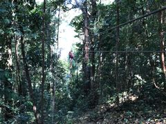 -清迈丛林飞跃 JungleFlight