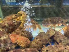 -欢乐海岸美食联盟