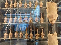 -谭厨中山传家菜.乳鸽.脆鲩鱼(华强北中航城店)