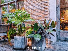 -VESH COFFEE(定西路店)