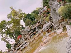 -东莞植物园