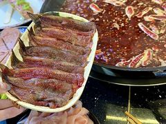 -肥龙火锅(南坪店)