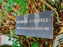 -北京鲁迅博物馆(北京新文化运动纪念馆鲁博馆区)