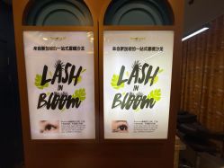-Browhaus眉睫沙龙