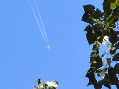 -野鸭湖国家湿地公园