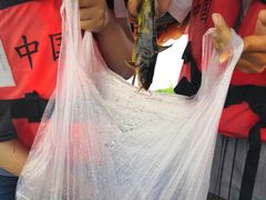 -白洋淀景区
