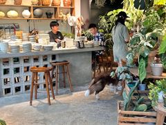 -自由生长植物工作室(深港花卉中心店)