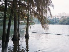 -重庆彩云湖湿地公园