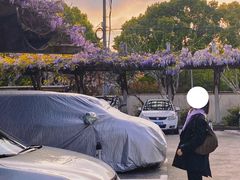 -双拥公园
