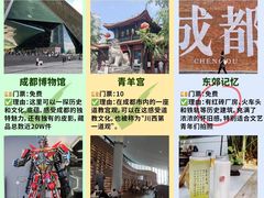-成都大熊猫繁育研究基地