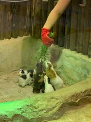 -宝燕乐园(闵行旗舰店)