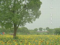 -上海杨姆庄园
