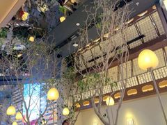 -桂满陇·海市蜃楼·黑金(国金店)