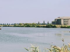 -乌梁素海景区