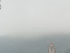 -深圳仙湖植物园