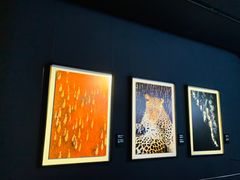 -罗红摄影艺术馆