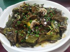 -正宗高流河饭店原创风姜鸡