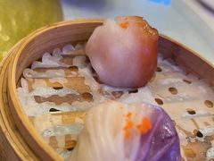 -皇马假日醉海南大酒店·假日一品派茶楼(秀英店)