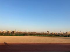 -瀛海足球主题公园