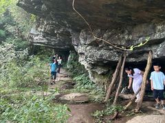 -天目山大树王景区