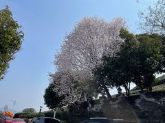 -听风阁农家私房菜茶楼(龙坞店)