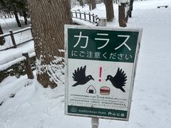 -北海道神宫