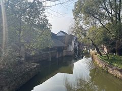 -鲁镇