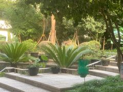 -Wagas沃歌斯(大学路店)