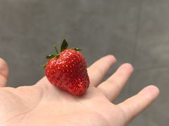 -南京大个子龙虾精菜馆