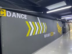 -欲非舞蹈
