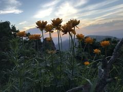 -蔚县茶山村