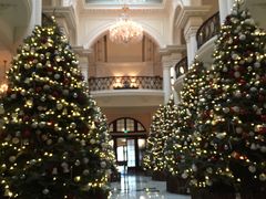 -Salon de Ville浦江汇(上海外滩华尔道夫酒店店)