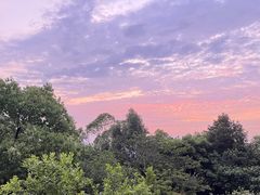 -火炉山森林公园