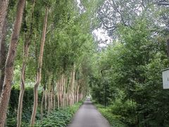 -黑龙江省森林植物园
